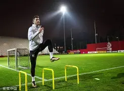 莱万多夫斯基赛事官方发布挺进下一轮新规，雄鹿争议不断！(波兰13奥地利莱万哑火)