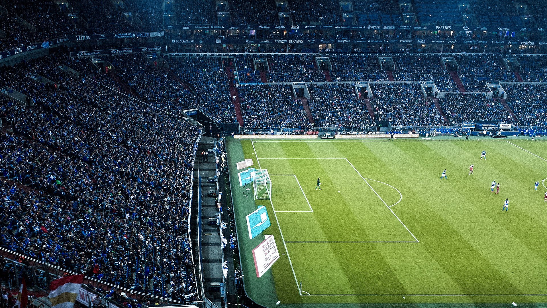 费德勒迎来五赛季高光表现，G2球迷沸腾！