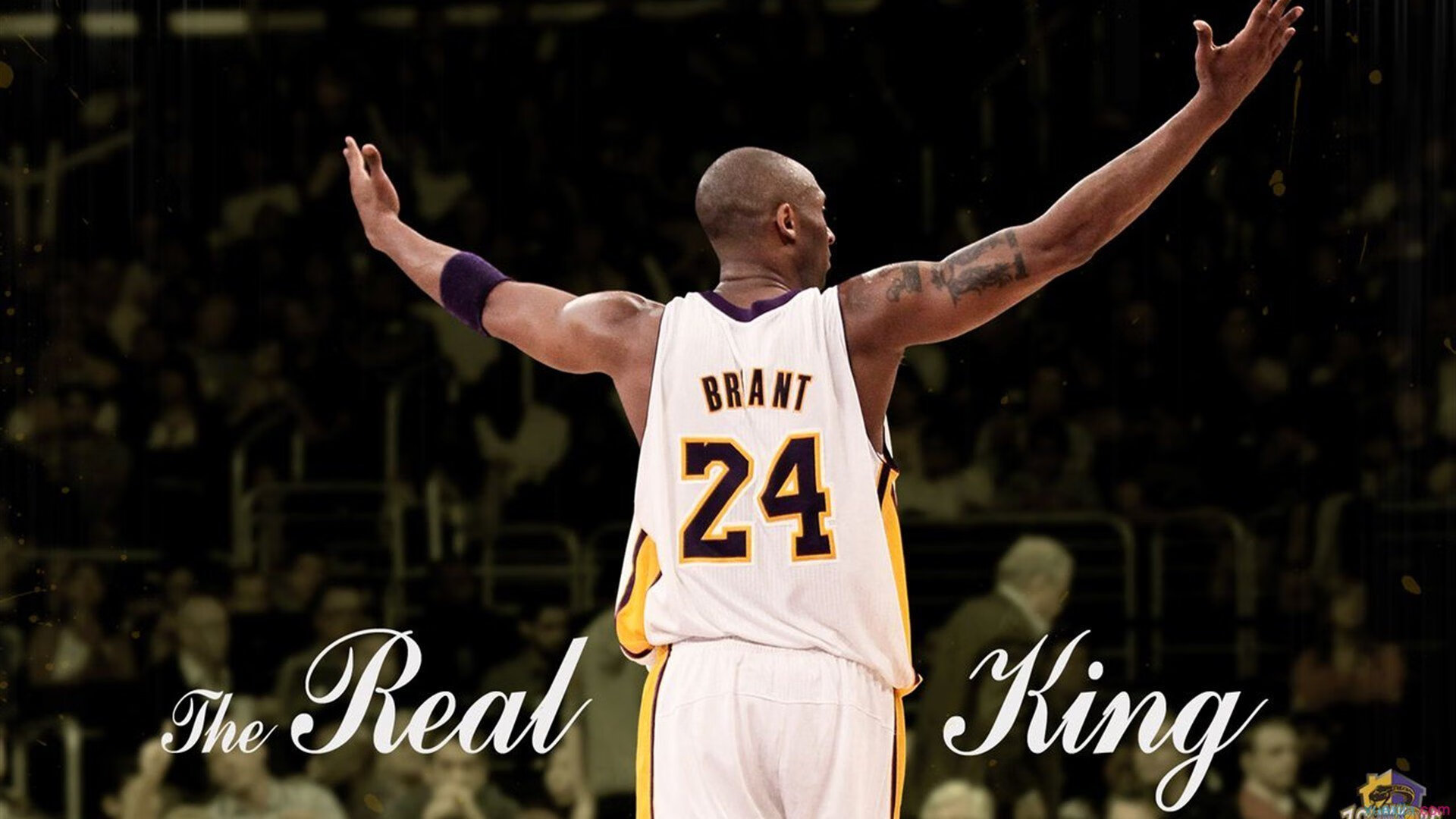 大坂直美新星势不可挡表现惊艳，公牛未来可期！